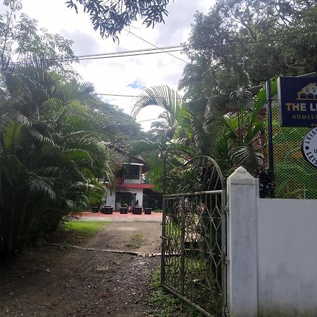 The Leisure Home Stay Shadipur Exterior foto